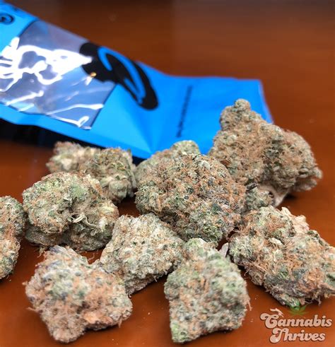 Wedding cake also makes the ideal strain for couples celebrating their nuptials in style and with a dose of cannabis. Pink Cookies Strain Critique Also Identified As Wedding ...