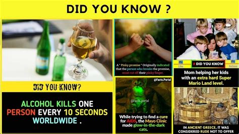 The Amazing Facts Did You Know Facts Shocking 😱 Facts That Everyone