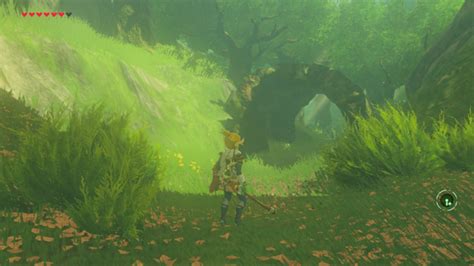 Breath Of The Wild Lost Woods Path Bmp Vision