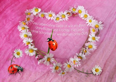 Pfingsten animierte gifs, animierte bilder, kostenlose animierte gifs, gifs animationen, lizenzfrei, cliparts, gif grafiken, kostenlose gifs. Ein Schöne Pfingsten Foto & Bild | karten und kalender ...