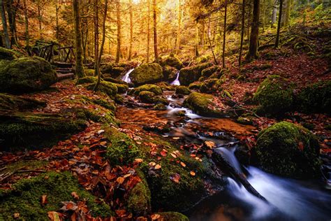 Photos For Free Black Forest Germany Autumn To The Desktop