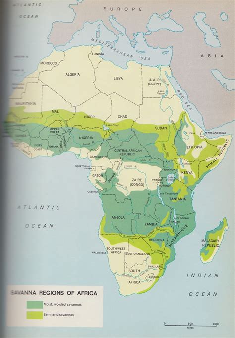 African Savannah Location And Classification