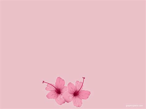 Swirl powerpoint template is a free background for powerpoint presentations that you can download to make impressive art powerpoint ppts. Girly Pink Background | Pink wallpaper backgrounds, Pastel ...