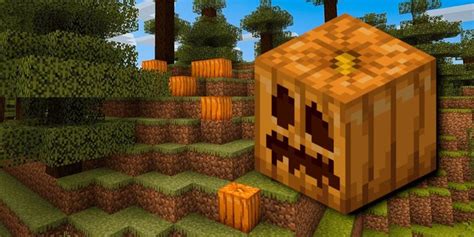 Where To Find Pumpkins In Minecraft And How To Farm Them