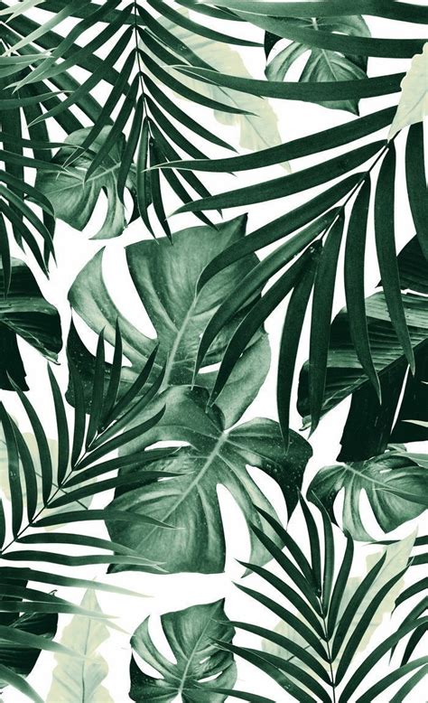 Botanica Leaves Wallpaper Iphone Plant Wallpaper Screen Wallpaper