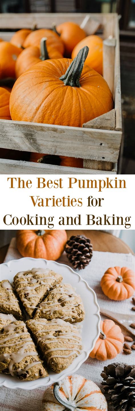 We love these french classic macaroons. Best Pumpkin Varieties for Cooking and Baking - One ...