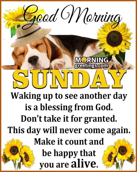 Good Morning Sunday Images With Quotes Morning Greetings Morning
