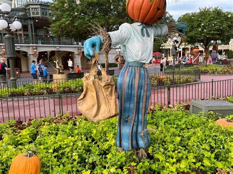 Photos Main Street Scarecrows Jack O Lanterns And More Halloween
