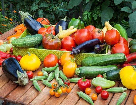 Agrifresh Market Home Fresh Vegetables Wholesale Price