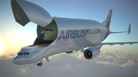 The beluga is actually a modification of different airbus model. Airbus Beluga XL