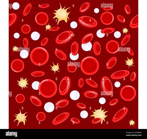 Seamless Pattern Red And White Blood Cells Under Microscope Vector