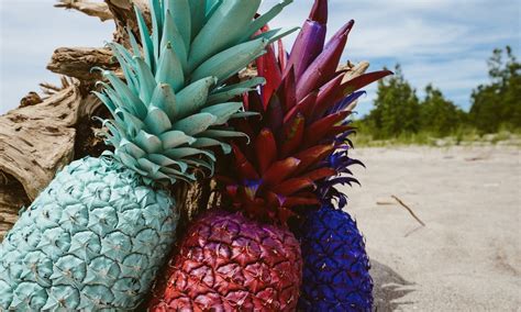 How To Decorate A Holiday Pineapple The Hottest 2017 Holiday Tree