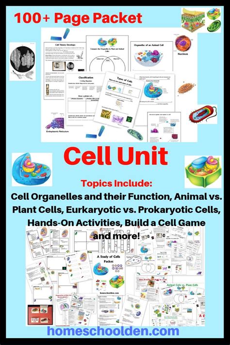 Animal cells are packed with amazingly specialized structures. Cell Unit: Organelles Plants vs Animal Cells Eurkaryotic ...