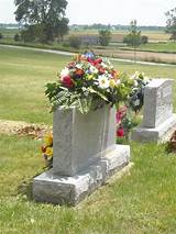 Images of Cemetery Saddle Flowers