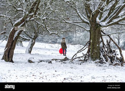 Snow Scene Richmond United Kingdom Stock Photo Alamy