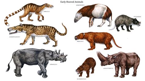 Early Artiodactyla Row 1 Chriacus Coryphodon Stylinodon Row 2