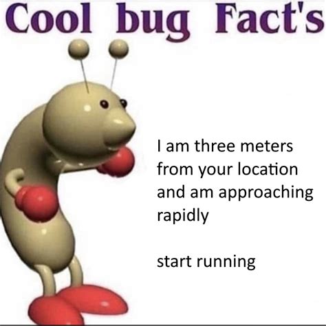 Cool Bug Facts Rmemes