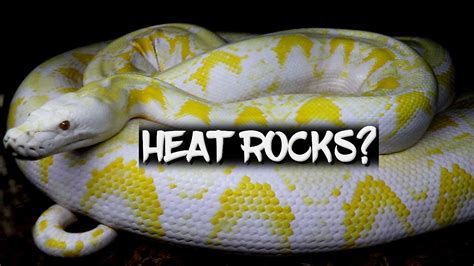 Heat Rocks For Your Snakes Dont Do It Youtube