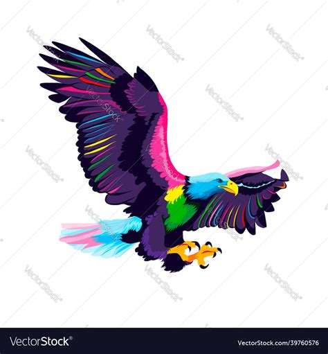 Flying Bald Eagle From Multicolored Paints Splash Vector Image