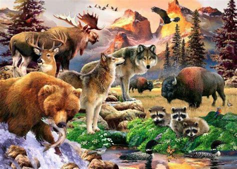 Pin By 洸 On Animal North American Wildlife Animals Wild Animal Art