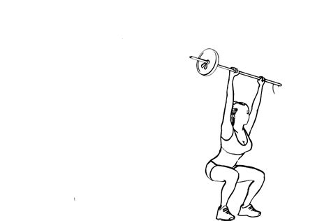 Barbell Overhead Squats Workoutlabs Exercise Guide