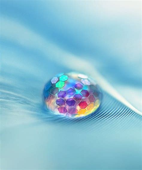 Rainbow In A Drop Of Water Macro Photography Fine Art Photography