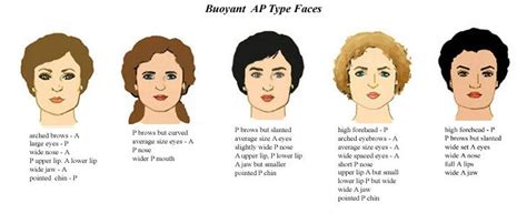 20 Types Of Beauty Комбинированные типы Лицо Изогнутые брови
