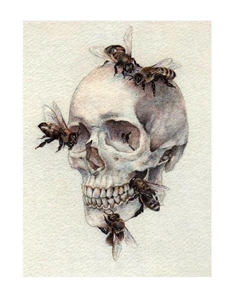 Adam On Behance Anatomy Art Art Drawings Skull Painting