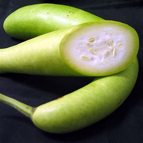 Is a zucchini a gourd. Bottle gourd (Anapakaya/Sorakaya) | Bottle gourd ...