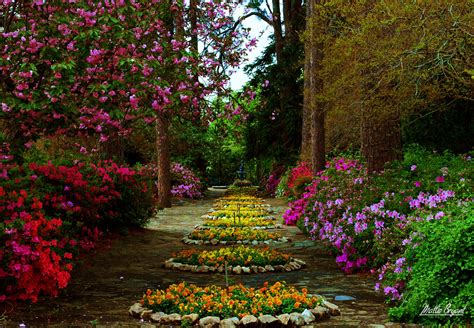 Flower Garden Hd Wallpaper Background Image 2048x1418