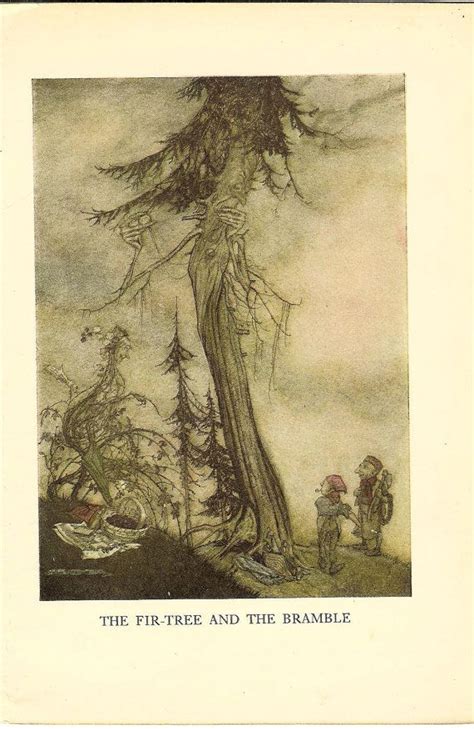 1933 Arthur Rackham Print The Fir Tree And The Bramble Etsy Arthur