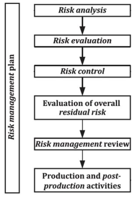 Risk Management Under Eu Medical Device Regulation Critical Catalyst