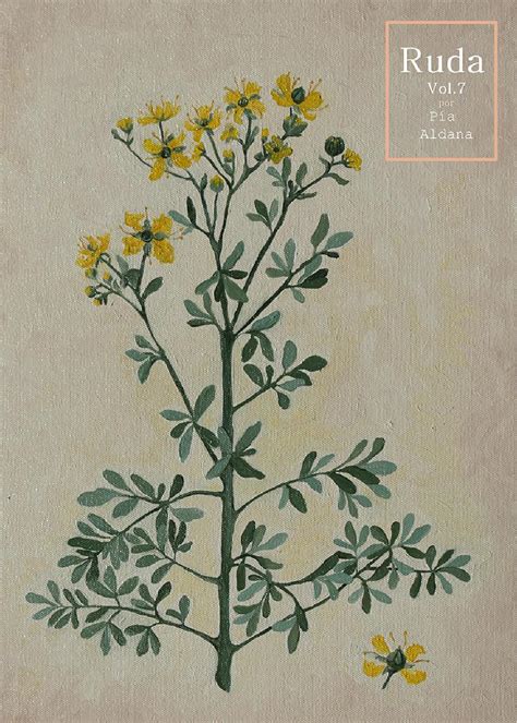 Our porno collection is huge and it's constantly growing. RUDA VOL.07 by RUDA - Issuu