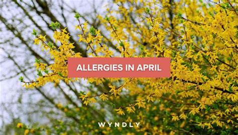 Allergies In April Symptoms Diagnosis And Treatment 2023 And Wyndly