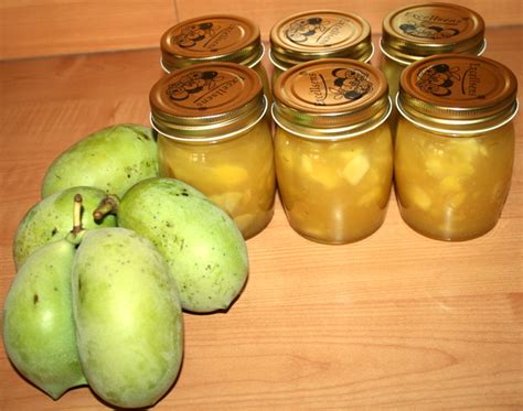 Ebay verkaufe eine indianerbanane im topf, winterhart. Konfitüre aus Indianerbanane • Brotbackforum - Die ...
