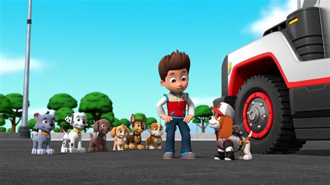 Paw Patrol Season 1 Watch For Free In Hd On Movies123