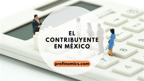 El Contribuyente En México