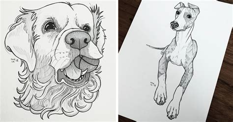 Whether you love dogs or not, learning to draw an easy dog could come handy in many situations. I Challenged Myself To Draw 30 Dogs In 30 Days | Bored Panda