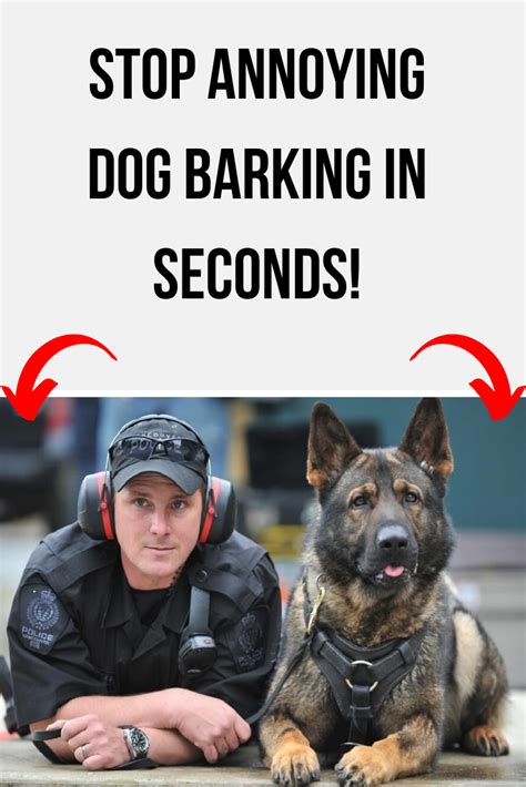 Share the best gifs now >>>. 🖤 Dog Barking Meme Song - 2021
