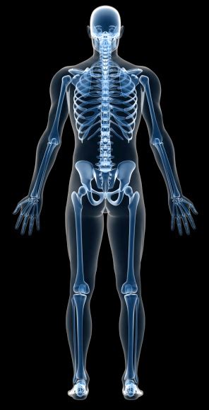 Xray Human Body Of A Man With Skeleton For Study Stock Photo Download