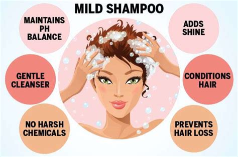 best mild shampoo cheap clearance save 48 jlcatj gob mx