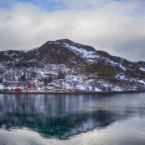 Idyllic Picturesque Scenery Of Lofoten Islands Stock Photo Image Of