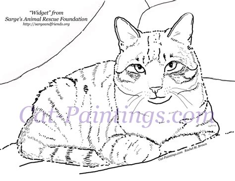 Download Calico Cat coloring for free - Designlooter 2020 👨‍🎨
