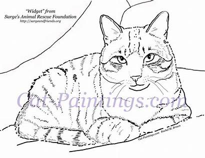 Coloring Cat Calico Printable Tabby Cats Colouring