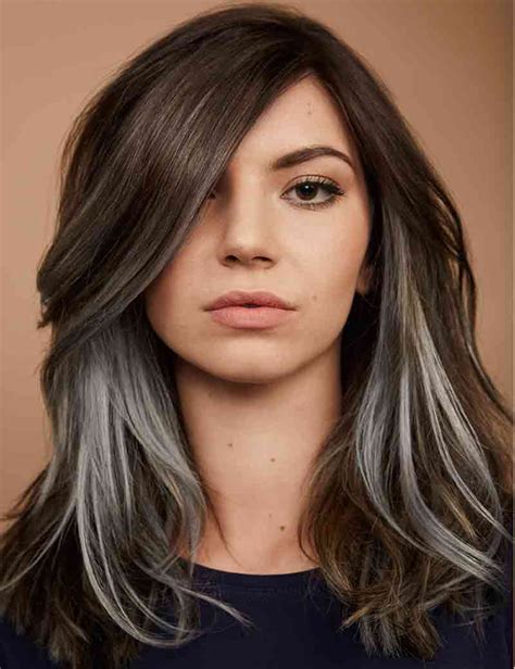 Brown Hair With Bright Silver Underlights Redken Silver Hair Color