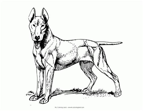 Some dogs really know how to turn on the charm! German Shepherd Dog Coloring Page - Coloring Home