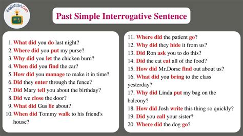 Past Simple Interrogative Simple Past Tense English Grammar Simple