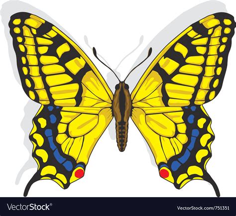 Swallowtail Butterfly Royalty Free Vector Image