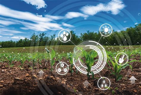 Role Of Ai In Agriculture