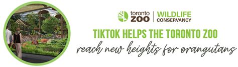 Toronto Zoo Press Releases
